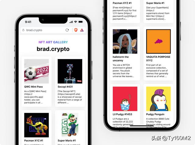 英文域名51web，web3.0的网页规范（Web应用程序服务器与反向代理）