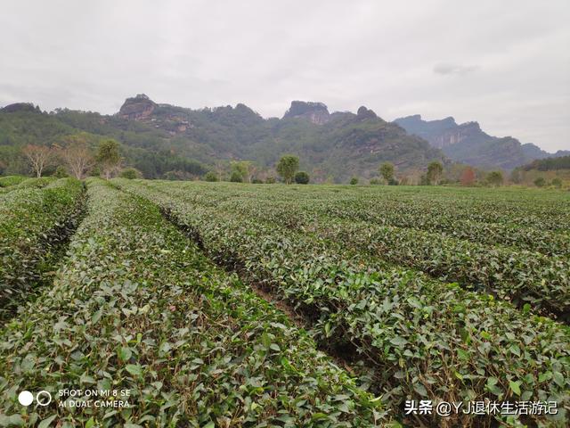 武夷山五日游必去景点，带你穿越千年历史