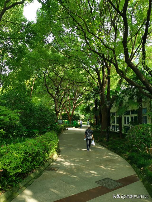 上海最值得徒步的路线，徒步上海普陀区甘泉公园