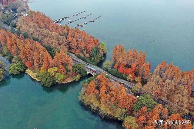 中秋节休闲游玩攻略，音乐派对、古风游园、月饼手作……就在余杭