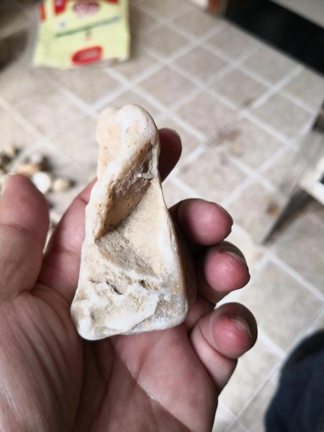 河流寻石记，渭河拾石记