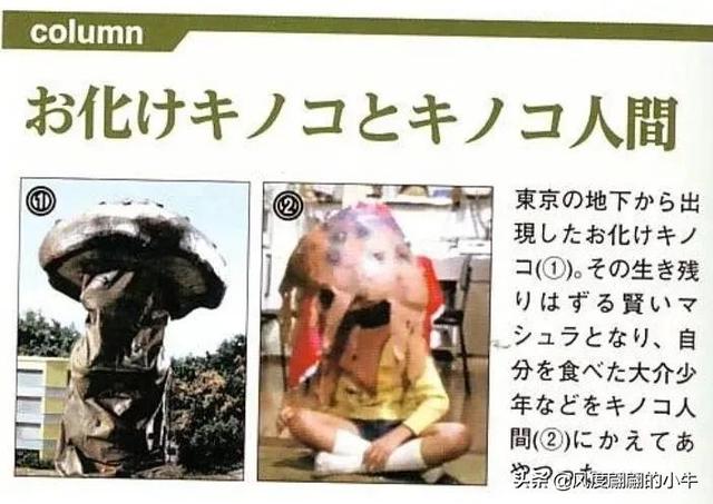 宇宙海人巴爾吉星人，泰羅奧特曼第6集的怪物（泰羅我勸你不要不識好歹）