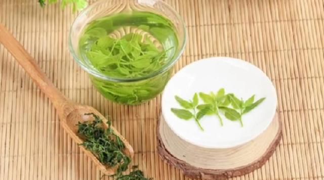 酸枣芽茶的功效与作用及食用方法，我这个顽固失眠者竟然成了瞌睡虫