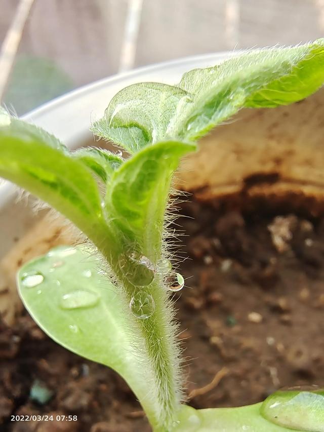 亲子教育有什么困惑，当代亲子教育中的大问题