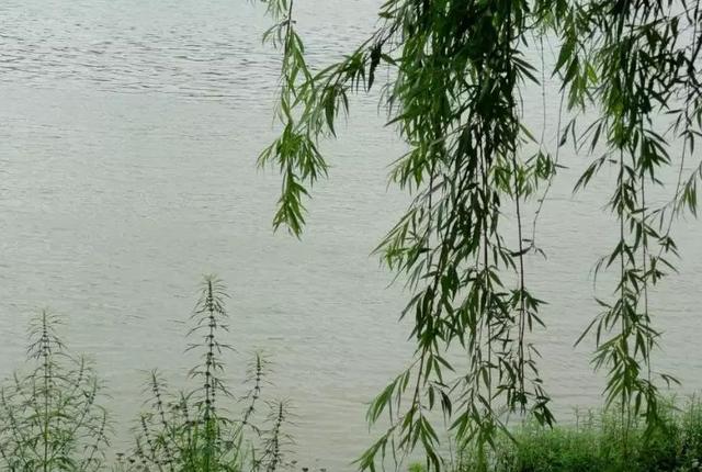 别意与之谁短长，离别愁恨的诗句（许浑最经典的一首离别诗）