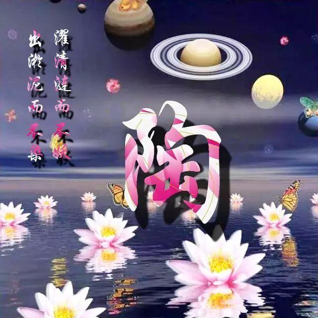 荷花头像图片大全，荷花头像高清图