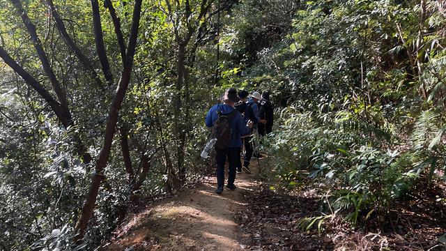 广州徒步登山经典路线，​黄埔秘境在这里