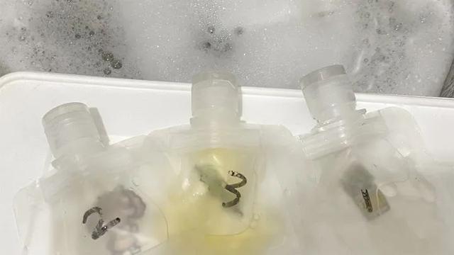 可以去除血渍的洗衣液，让衣服“焕然一新”