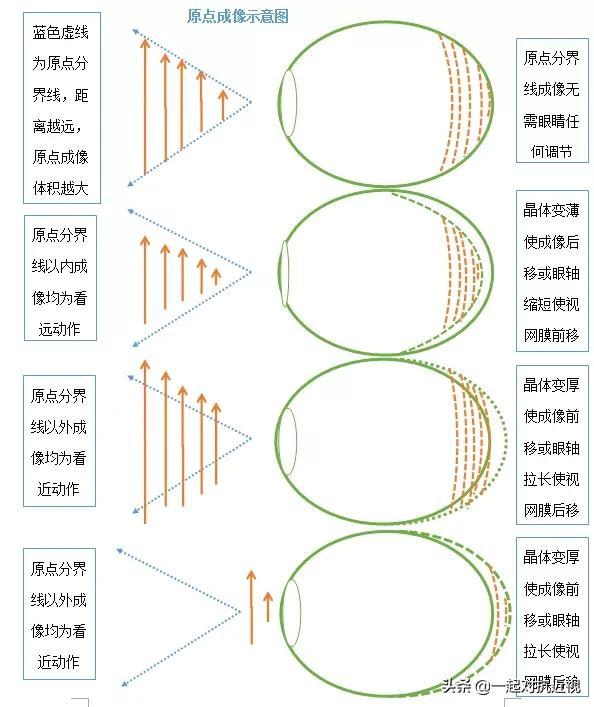 眼睛的成像原理示意图，眼睛所有成像过程一览