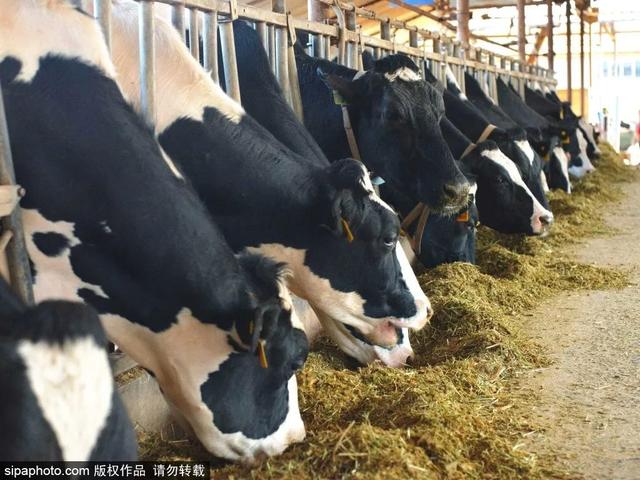 北京带孩子玩的地方推荐，北京小宝宝周末遛娃必备好去处（带娃去京郊这4个天然氧吧游山戏水~）