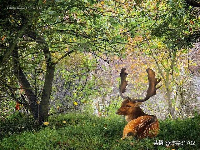 适合秋天的景色，中国十大秋色，哪里最美