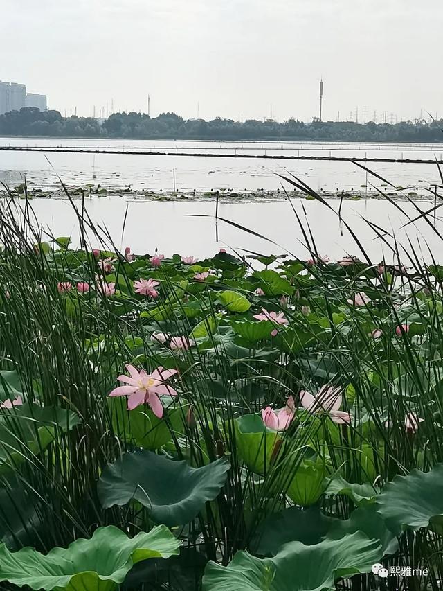 曾国藩人生六戒，与智者为伍