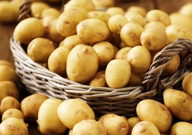 储存土豆最有效的方法，土豆不发芽不变质