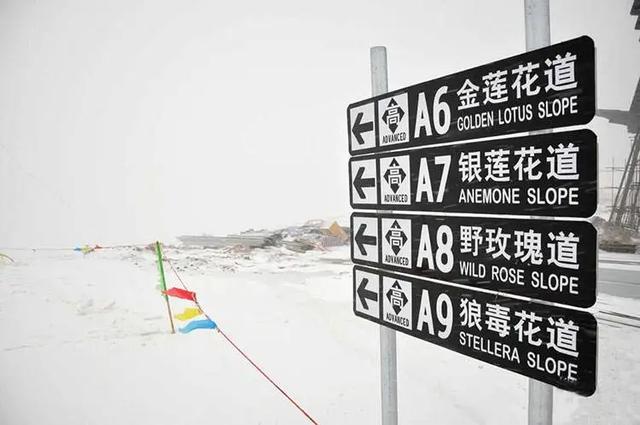 滑雪需要什么装备，想要去滑雪有哪些装备是必备的