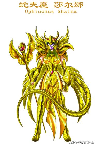 圣斗士星矢欧米伽系列，圣斗士星矢之卡西欧士的逆袭