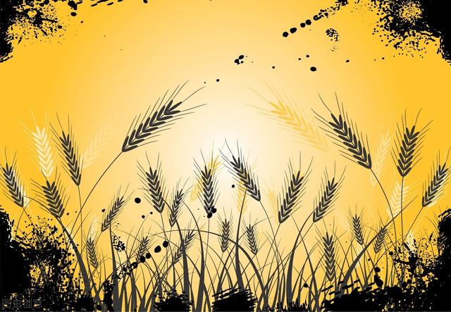 农村最常见虫子的叫声，乡村夜晚农田里