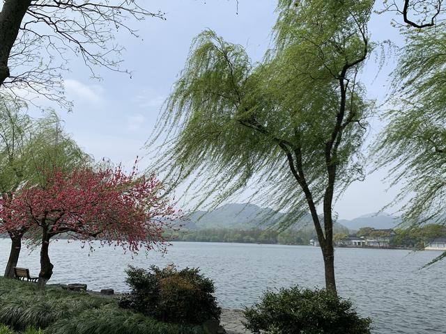 杭州西湖之白堤，“白堤”名出白居易