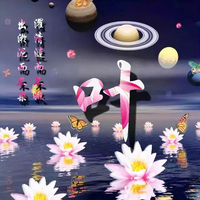 荷花头像图片大全，荷花头像高清图