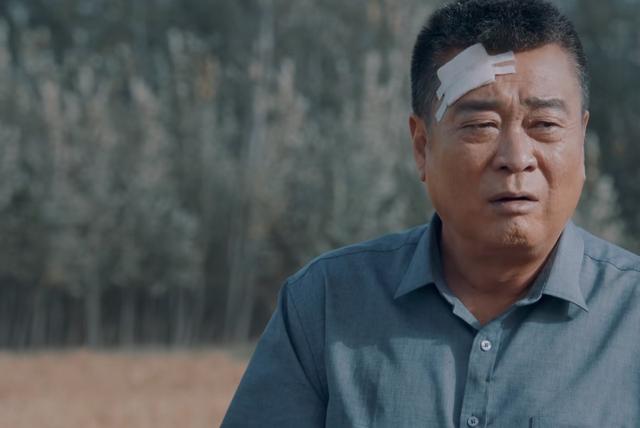 电视剧三泉溪暖，电视剧三泉溪暖一共多少集（无任何前期宣传的《三泉溪暖》）