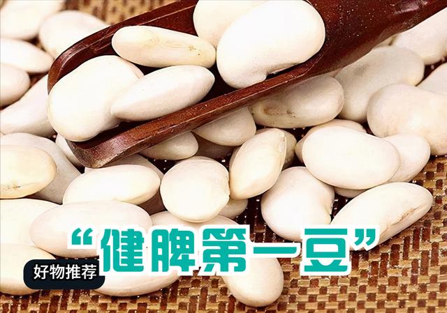 李时珍肥胖(李时珍减肥秘方肥秘方是真的吗)