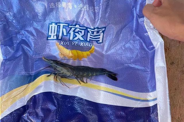 虾的15种最佳吃法，虾夜宵晚上加一餐