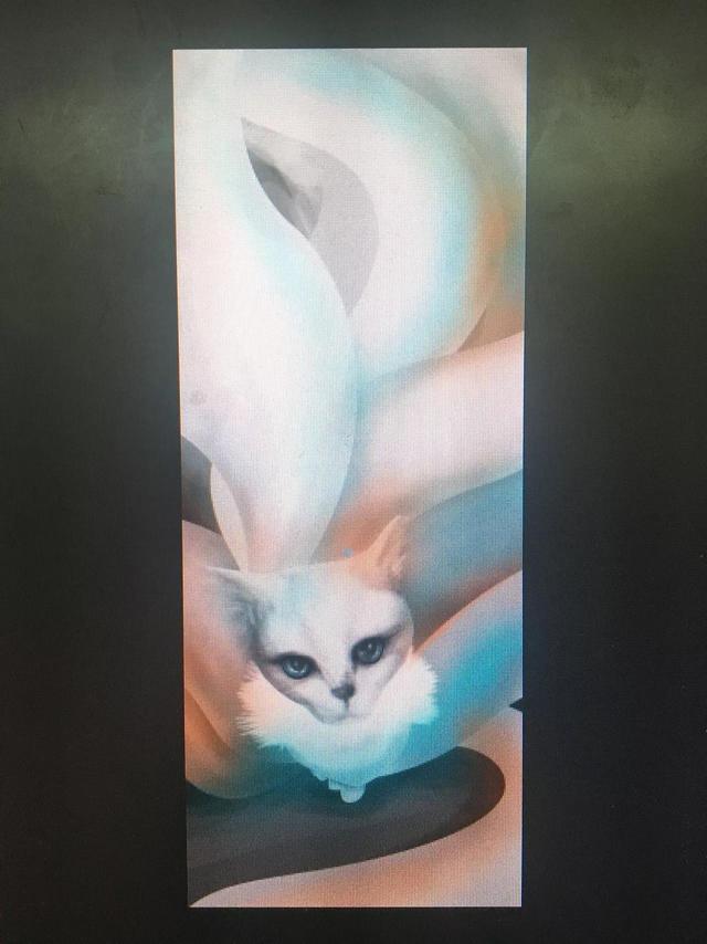 传说中九大灵猫，九尾猫得道成仙启迪