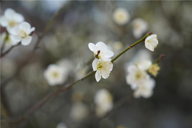 淮安哪个区最繁华，江苏淮安最值得去的地方