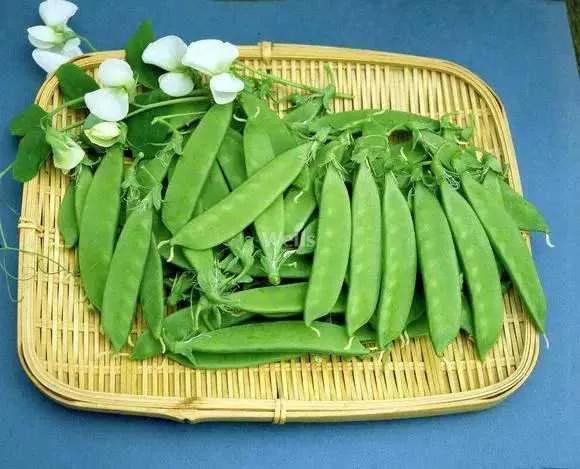 荷兰国家简介及特点，平均身高1.69米
