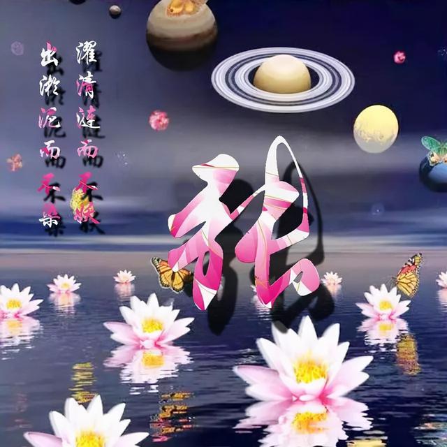 荷花头像图片大全，荷花头像高清图