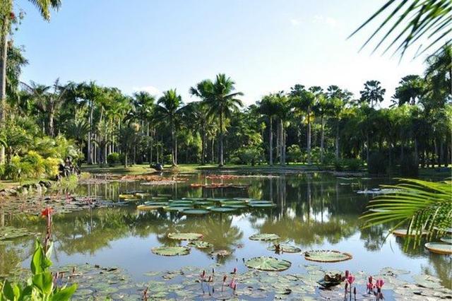 西双版纳旅游必去景点，旅游西双版纳必去景点有哪些（这8大景点一定要去一次）