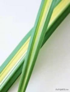 插花怎么弄出漂亮花束，掌握这“三个”原则