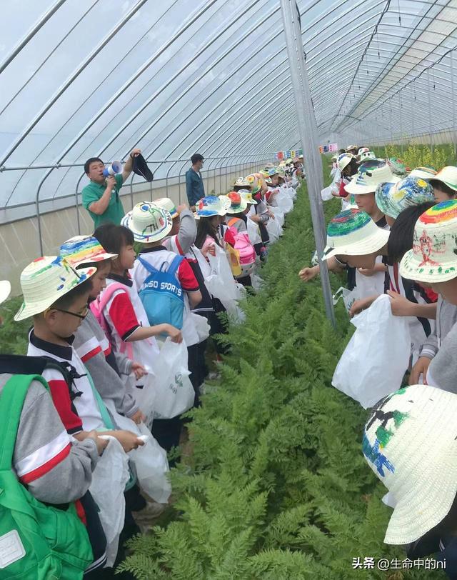 开封必游景区，这八处经典必去的地方