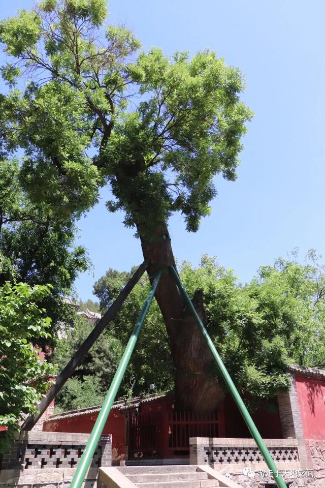晋祠公园景点介绍，山西晋祠有什么景点好玩（古老晋国宗祠）