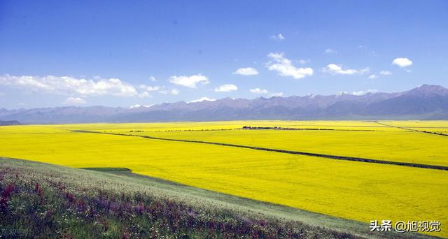 青海旅游自驾游路线，青海省自驾游路线推荐汇总