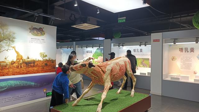 郑州周边好玩的地方，郑州周边适合遛娃的地方（郑州西环人少景美的8大遛娃地）