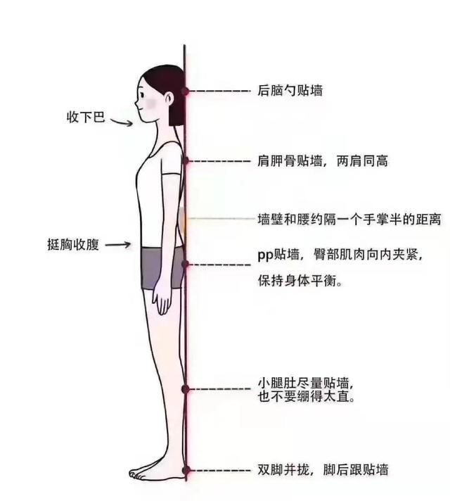 关于减肥的十个建议，“贴秋膘”前想减肥