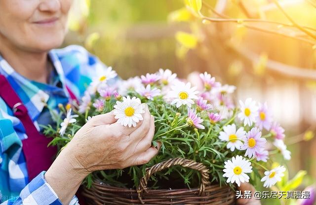 小说的写作结构技巧，助你写出优秀小说