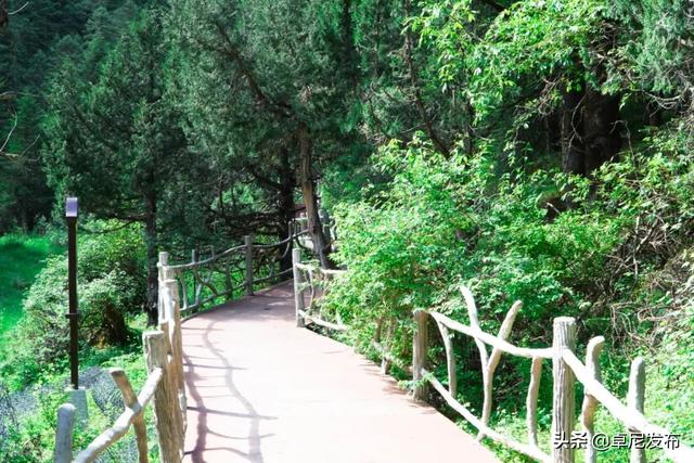 大峪沟旅游风景区介绍，最能治愈人心的便是这世间的绝美风景