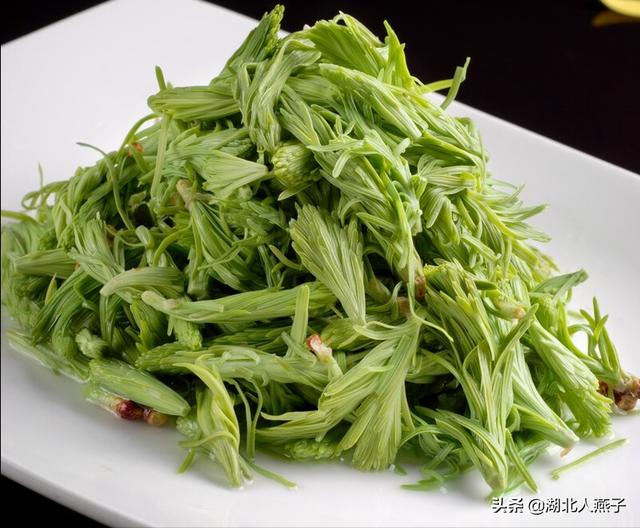 可以吃的野菜种类大全，教你认识不同的野菜和吃法