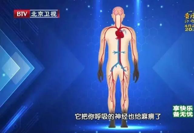肥胖是新陈代谢慢(肥胖是新陈代谢慢导致的吗)