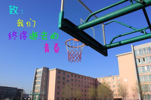 大学生必读书籍十大排行榜，带你从多个角度看待整个世界