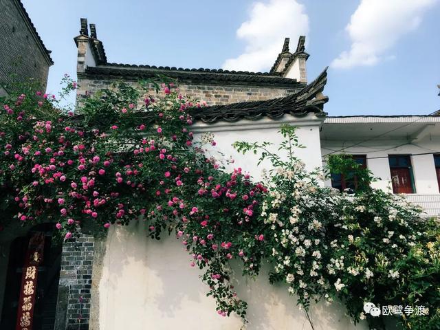 泾县桃花潭周边景点介绍，桃花潭水深千尺