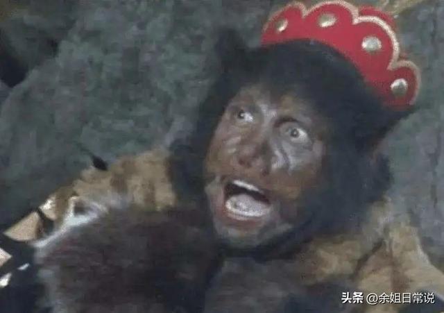 南宁市动物园浣熊介绍，带你去南宁动物园看