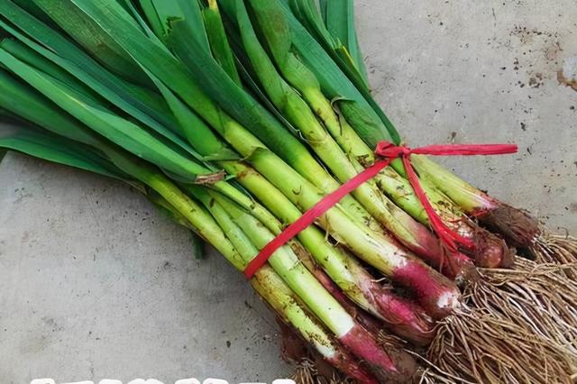 简单又家常的蒜苗做法，2块钱的蒜苗你像我这样做