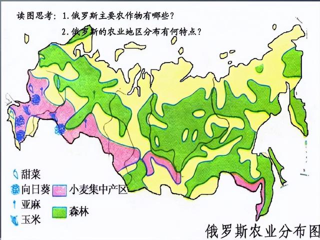 印度尼西亚面积和人口，世界粮食第一出口大国是哪个国家（人口2.62亿面积190万）