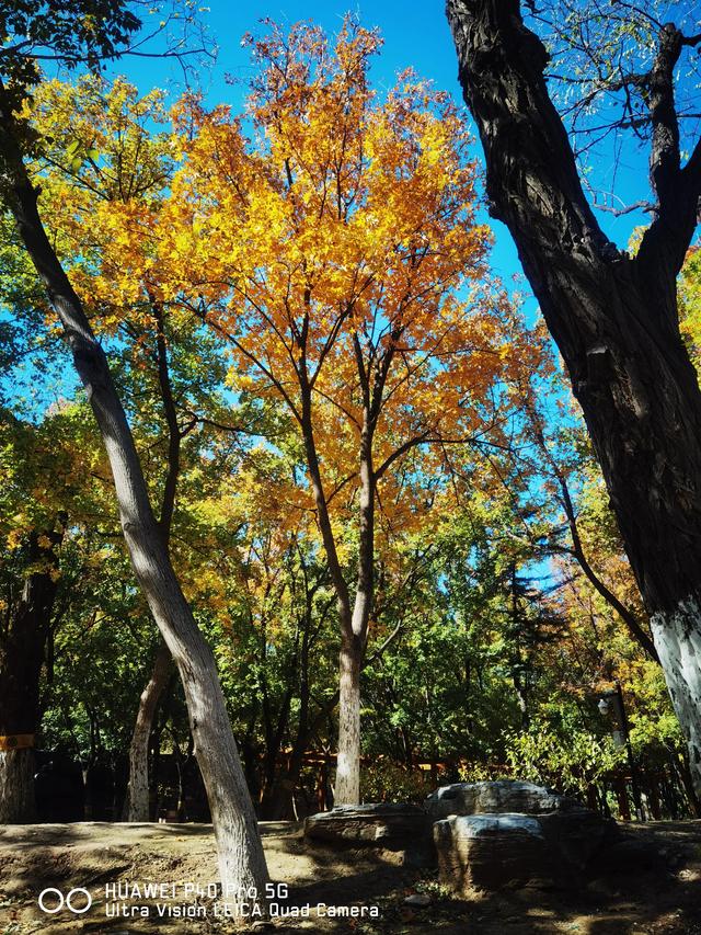 北宫国家森林公园景点介绍，北宫国家森林公园游记