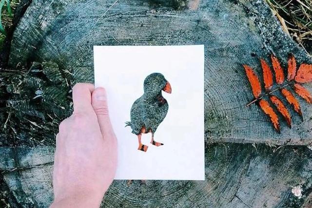 跳蚤效应有什么启示，我们的头顶总有一个假想的瓶盖在限制自己。