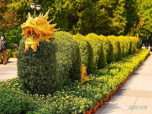 我们身边的沈阳，他曾数十次翱翔在沈阳的上空