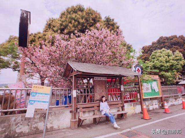 日本赏樱花著名景点，这些赏樱地等你打卡