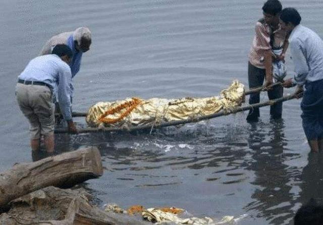 印度鲶鱼泥土里也能活，印度恒河的怒吼